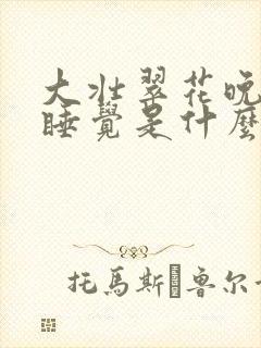 大壮翠花晚上不睡觉是什么电视剧