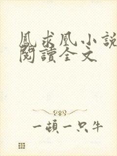 凤求凰小说免费阅读全文封面