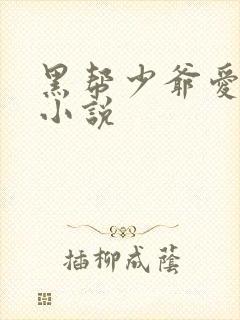黑帮少爷爱上我小说