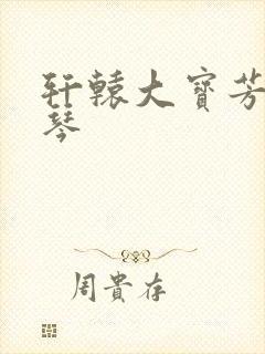 轩辕大宝芳菲雅琴