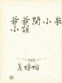 爷爷开小米的包小说