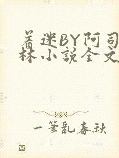 着迷BY阿司匹林小说全文免费阅读