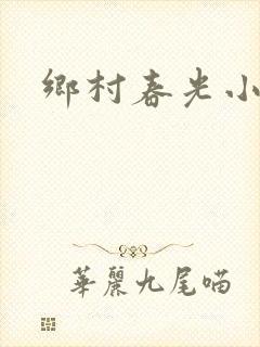 乡村春光小说