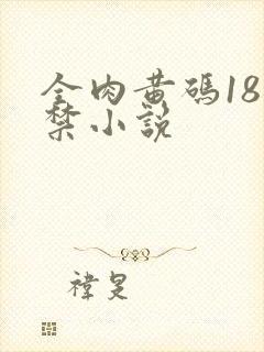 全肉黄码18无禁小说