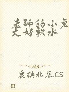 老师的小兔子好大好软水