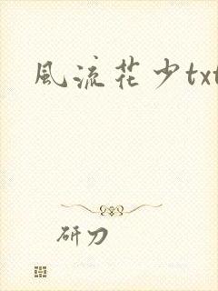 风流花少txt封面