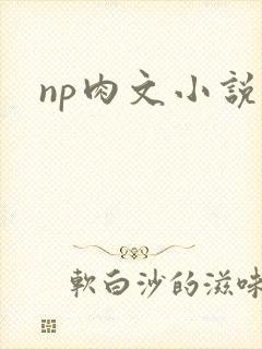 np肉文小说