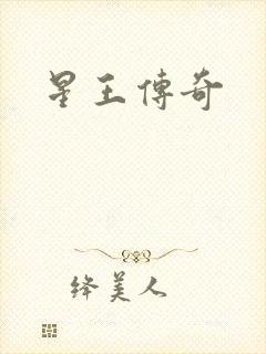 星王传奇