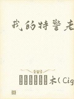 我的特警老婆封面