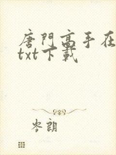 唐门高手在异世txt下载