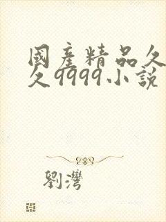 国产精品久久久久9999小说