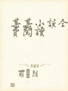 某某小说全文免费阅读