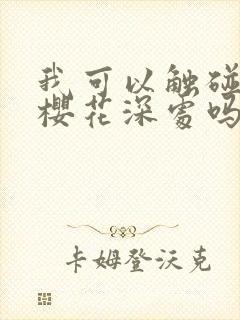 我可以触碰你的樱花深处吗