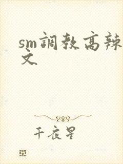 sm调教高辣h文