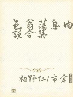 色翁荡息肉欲小说合集