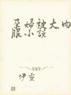 孕妇被大肉楱征服小说封面