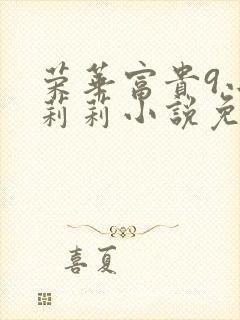 荣华富贵9小王莉莉小说免费阅读