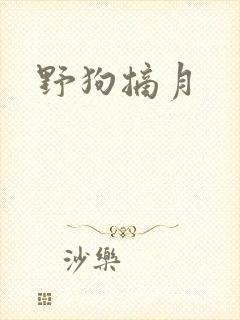 野狗摘月