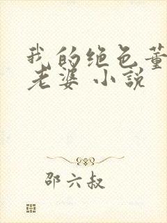 我的绝色董事长老婆 小说