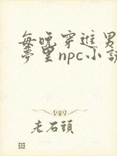 每晚穿进男神的梦里npc小说