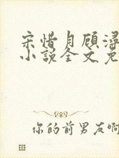 宋惜月顾浔渊的小说全文免费阅读