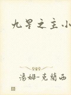 九星之主小说
