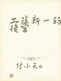 工藤新一的日本后宫