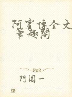 阿宾传全文阅读 笔趣阁