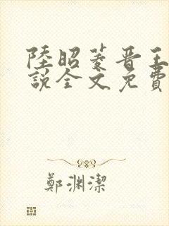 陆昭菱晋王的小说全文免费阅读