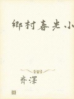 乡村春光小说封面