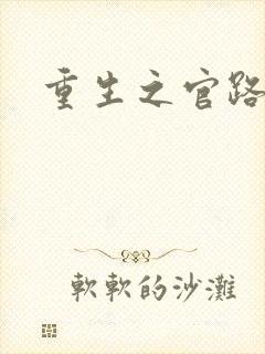 重生之官路风流封面