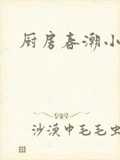 厨房春潮小说封面