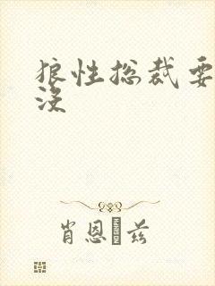 狼性总裁要够了没封面