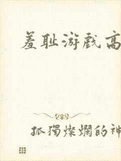 羞耻游戏高h封面