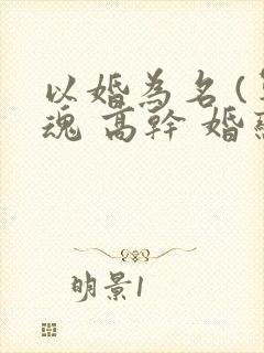 以婚为名 (军魂 高干 婚恋)
