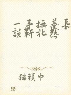 一手抚养长大小说靳北然