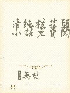 清纯校花堕落记小说免费阅读