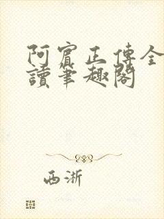 阿宾正传全文阅读笔趣阁封面