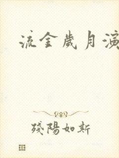 流金岁月演员表封面