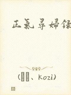 正气寻妇录