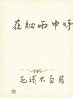 在细雨中呼喊