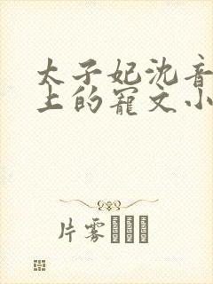 太子妃沈音和皇上的宠文小说