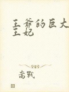 王爷的巨大进入王妃封面