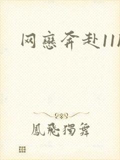 网恋奔赴11h封面