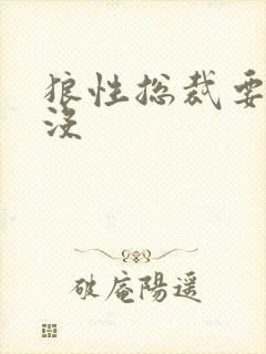 狼性总裁要够了没