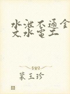 水泄不通金银原文水电工封面