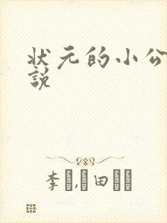 状元的小公主小说