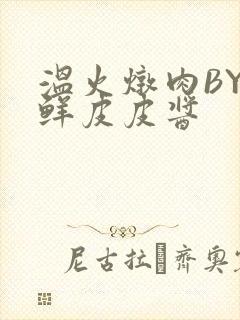 温火炖肉BY海鲜皮皮酱封面