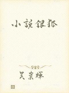 小说银狐