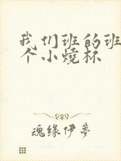 我们班的班花是个小烧杯